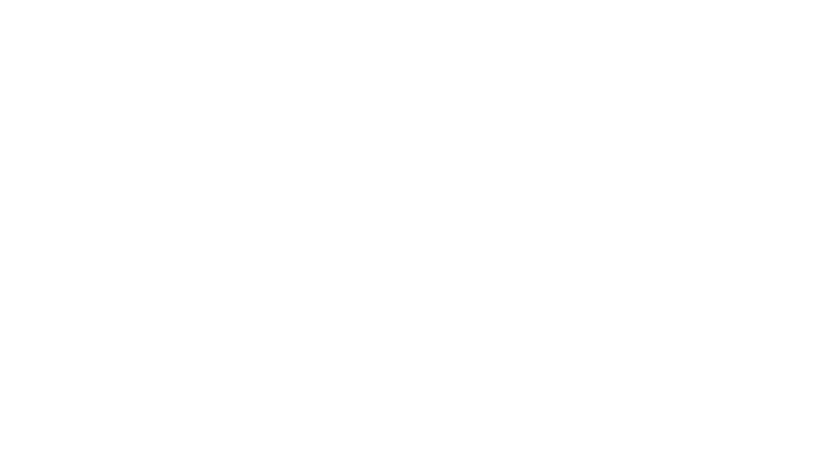 NaturBlendy
